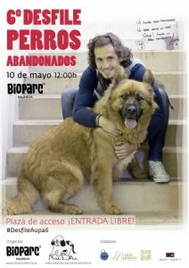 Lucas Orban, el “6” del Valencia CF, apadrina la 6ª edición del Desfile de perros abandonados de A.U.P.A.